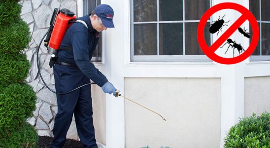 Sason Fare İlaçlama böcek ilaçlama ve haşere kontrolü — ilaclama-tr.com